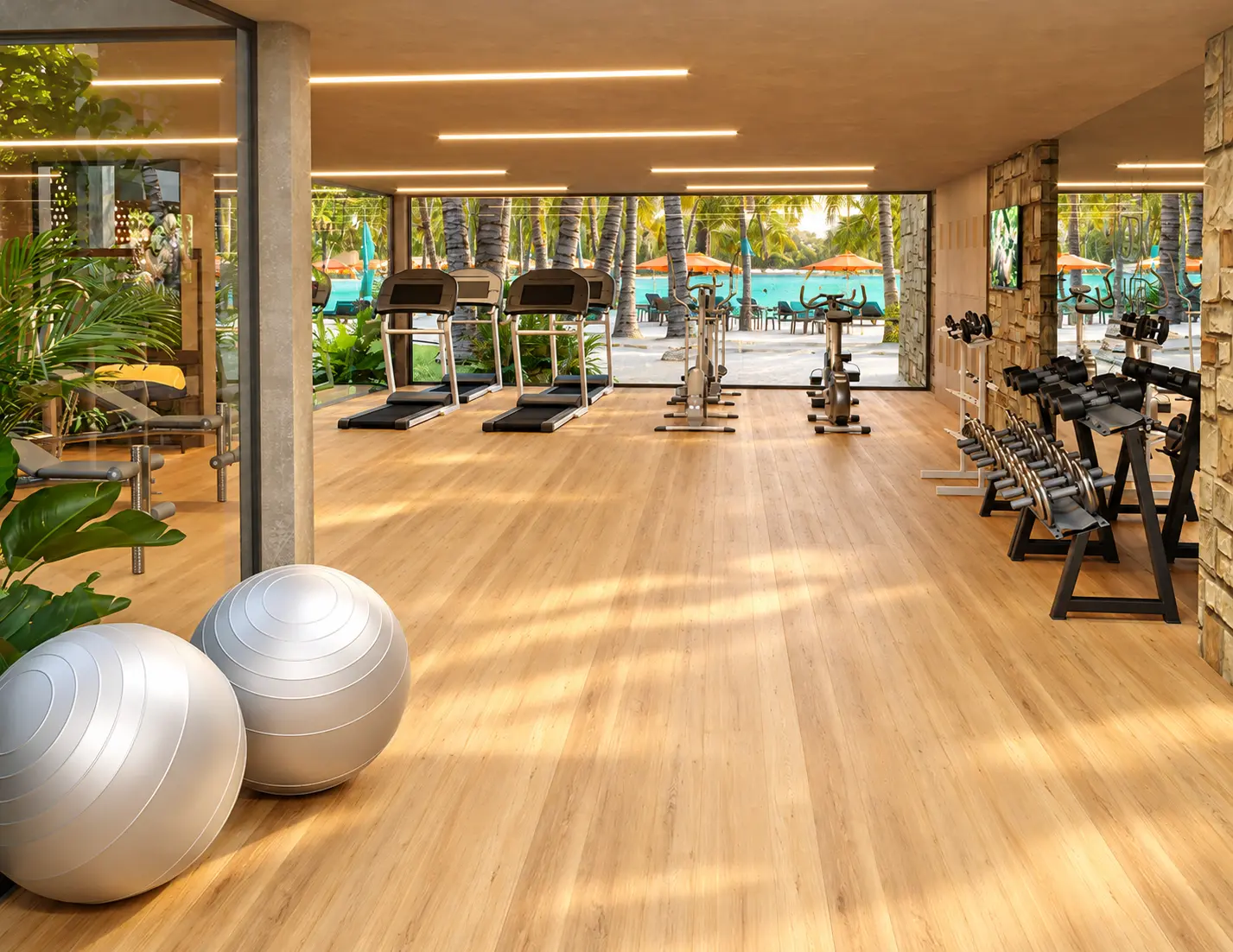 Gimnasio con piso de madera, máquinas de cardio y vista a las palmeras